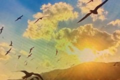 皇家贝蒂斯VS诺丁汉森林欧罗巴联赛小组赛前瞻分析